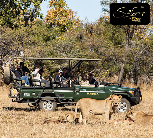 ELITE EXPLORING SOUTH AFRICA 8D5N
